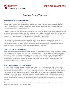 Canine Bone Tumors