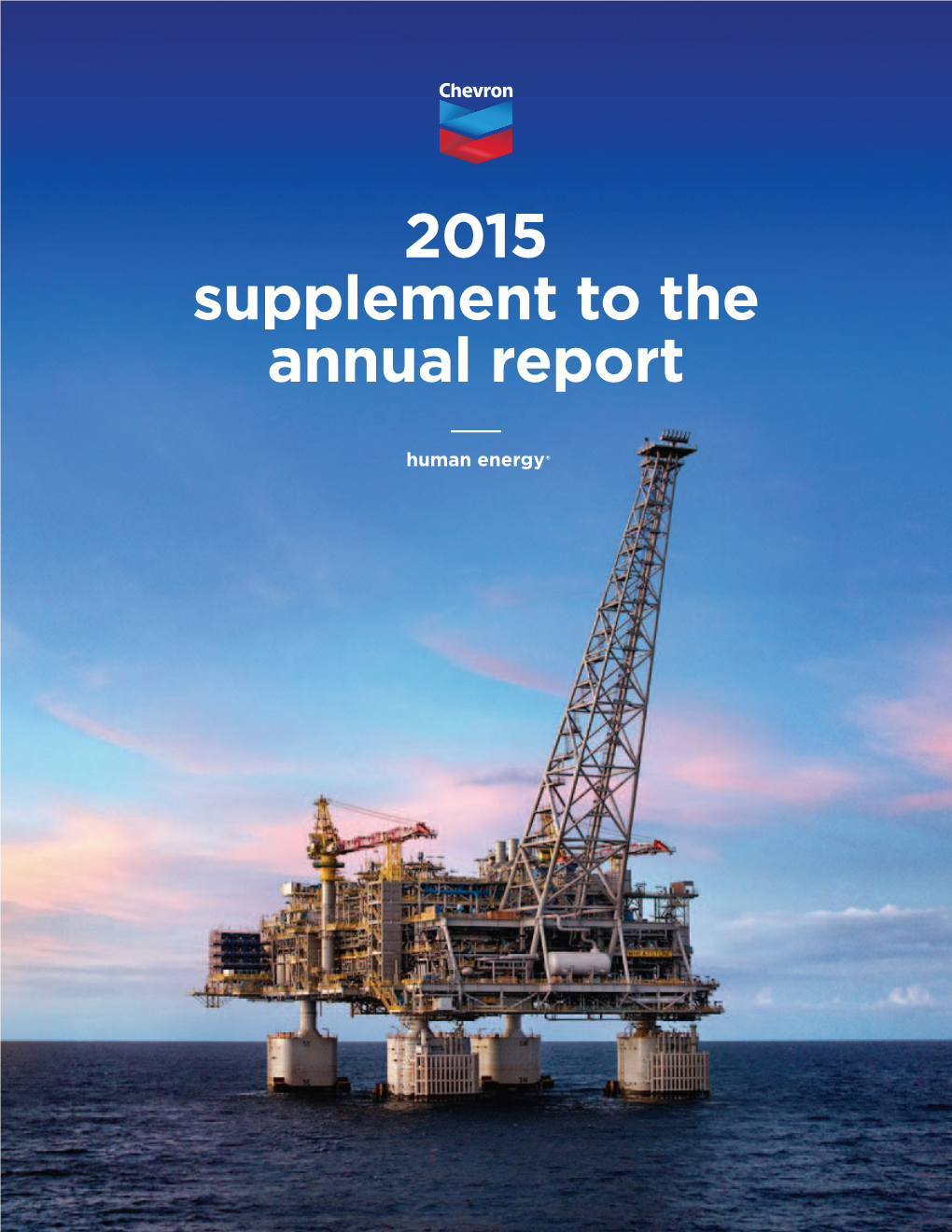 2015 Supplement to the Annual Report