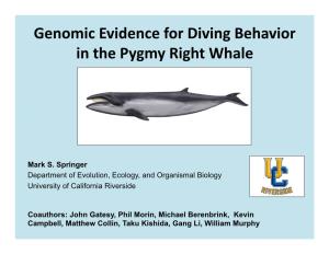 Genomic Evidence for Diving Behavior in the Pygmy Right Whale