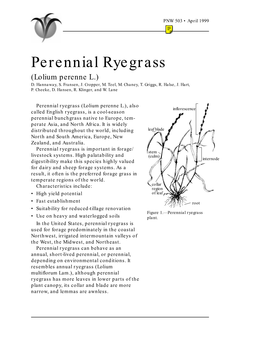 Perennial Ryegrass (Lolium Perenne L.) D