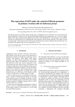 The Expression of GFP Under the Control of Fibroin Promotor in Primary Ovarian Cells of Antheraea Pernyi