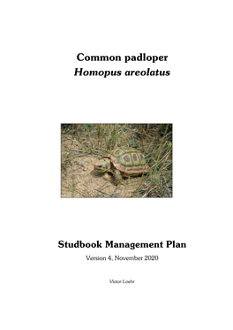 Studbook Management Plan Homopus Areolatus