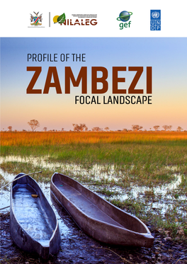 Zambezi Landscape Profile