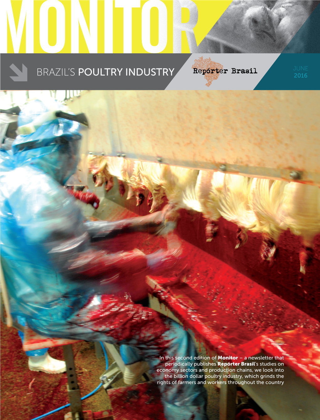 Brazil's Poultry Industry