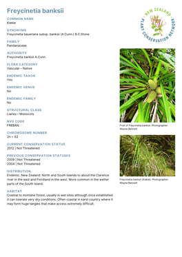 Freycinetia Banksii