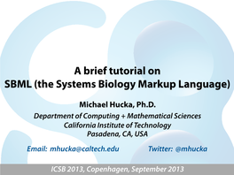SBML (The Systems Biology Markup Language), Model Databases, And