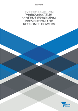 Expert Panel on Terrorism and Violent Extremism Prevention and Response