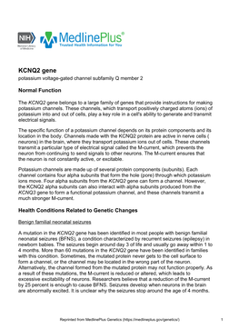 KCNQ2 Gene Potassium Voltage-Gated Channel Subfamily Q Member 2