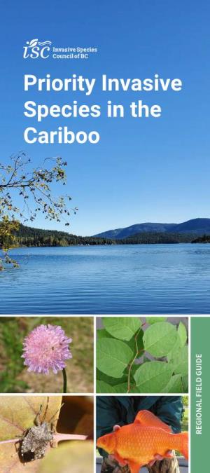 Priority Invasive Species in the Cariboo–Regional Field Guide