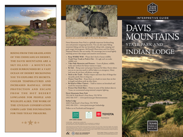 Interpretive Guide to Davis Mountains and Indian Lodge