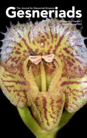Sinningia Speciosa 57 Seed Fund – Hybrids ‘Lorna Ohlgren’ Gussie Farrice Dave Zaitlin 61 Information About the Gesneriad 31 Gesneriads Index 2017 Society, Inc