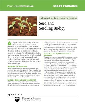 Seed and Seedling Biology Bigstockphoto.Com