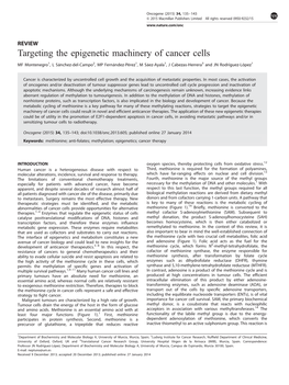 Targeting the Epigenetic Machinery of Cancer Cells