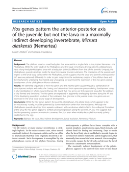 Hox Genes Pattern the Anterior-Posterior Axis of the Juvenile but Not the Larva in a Maximally Indirect Developing Invertebrate
