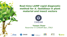Real-Time LAMP Rapid Diagnostic Method for X. Fastidiosa in Plant Material and Insect Vectors