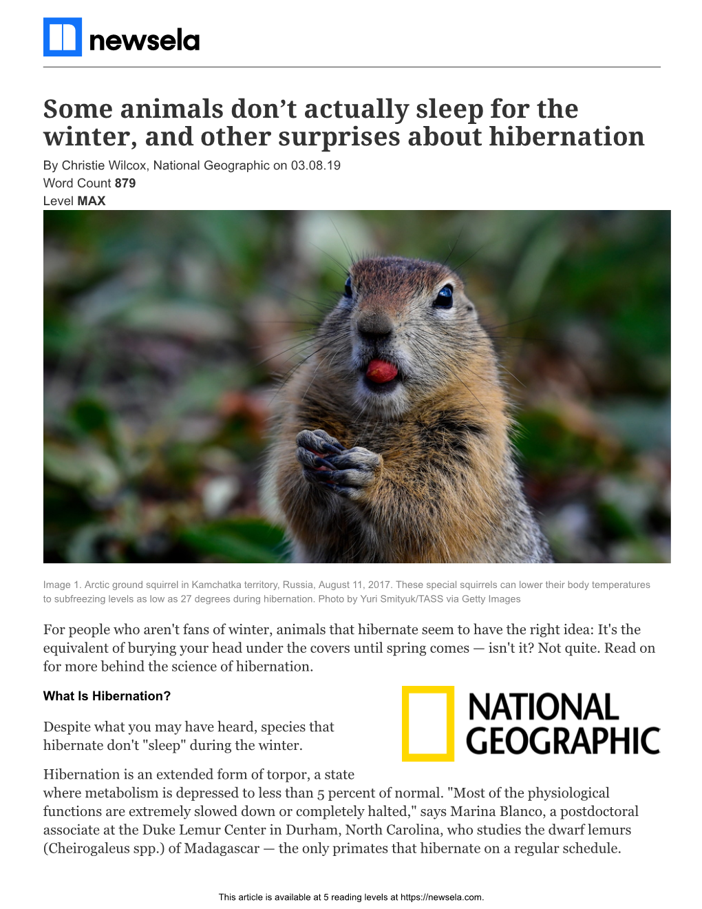 Some Animals Don't Actually Sleep for the Winter, and Other Surprises About Hibernation