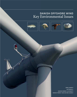 Danish Offshore Wind Key Environmental Issues