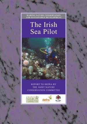 The Irish Sea Pilot