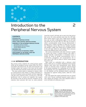 Introduction to the Peripheral Nervous System 2