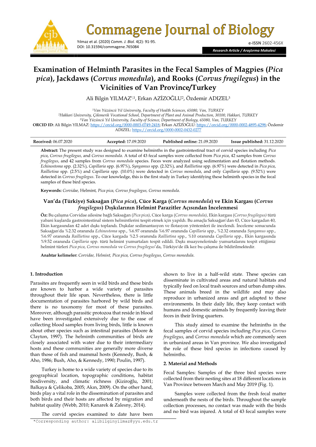 Examination of Helminth Parasites in the Fecal Samples of Magpies