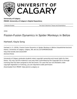 Fission-Fusion Dynamics in Spider Monkeys in Belize