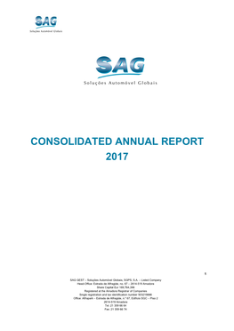 Consolidated Annual Report 2017