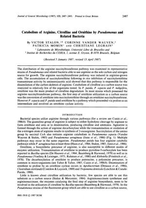 Catabolism of Arginine, Citrulline and Ornithine by Pseudomonas and Related Bacteria