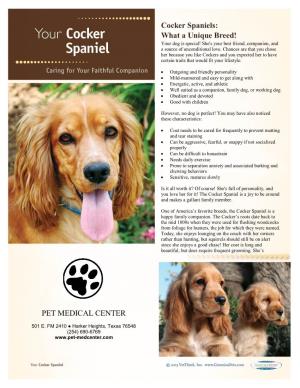 Cocker Spaniels: What a Unique Breed! PET MEDICAL CENTER