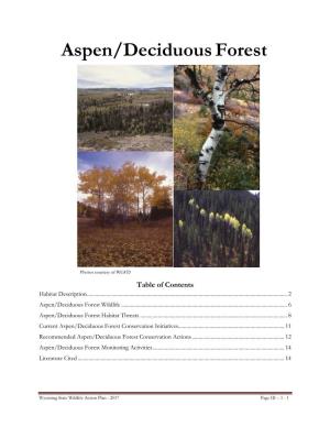 Aspen/Deciduous Forest