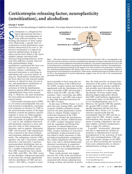 Corticotropin-Releasing Factor, Neuroplasticity (Sensitization), and Alcoholism