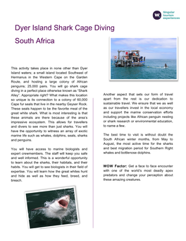 Dyer Island Shark Cage Diving South Africa