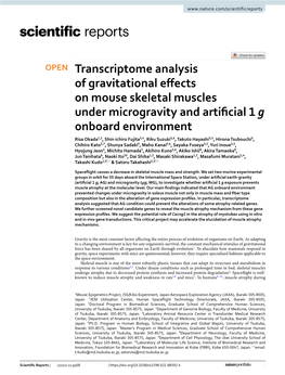 Transcriptome Analysis of Gravitational Effects on Mouse Skeletal Muscles Under Microgravity and Artificial 1 G Onboard Environm