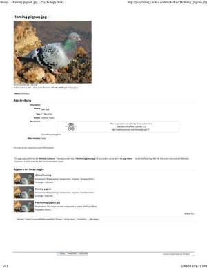 Homing Pigeon.Jpg - Psychology Wiki
