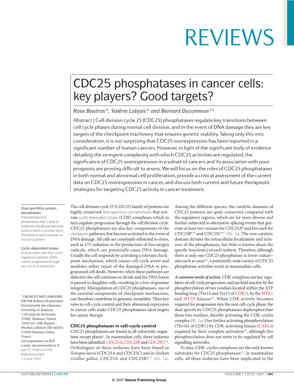 CDC25 Phosphatases in Cancer Cells…