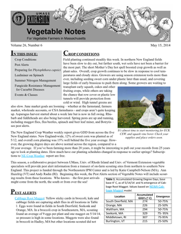 Vegetable Notes for Vegetable Farmers in Massachusetts