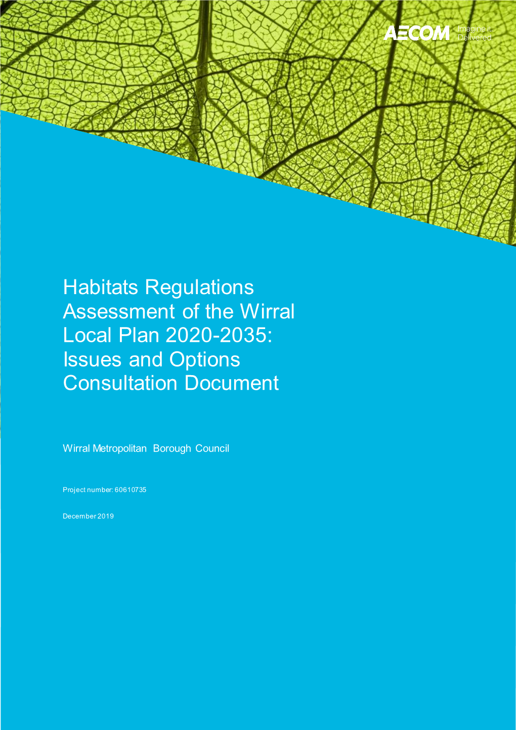 Habitats Regulations Assessment of the Wirral Local Plan 2020-2035: Issues and Options Consultation Document