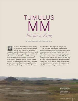TUMULUS MM Fit for a King