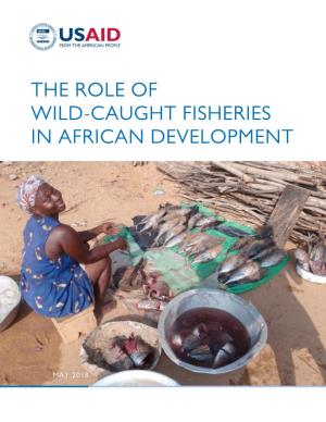 The Role of Wild-Caught Fisheries in African Development