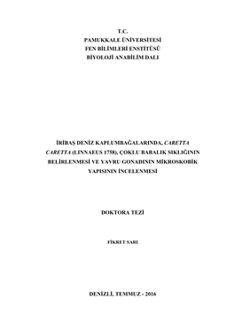 Fikret Sarı.Pdf