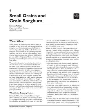 Small Grains and Grain Sorghum