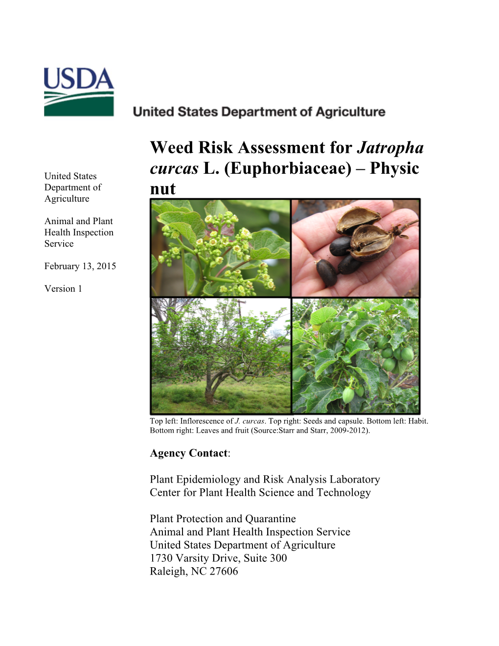 Weed Risk Assessment for Jatropha Curcas L. (Euphorbiaceae)