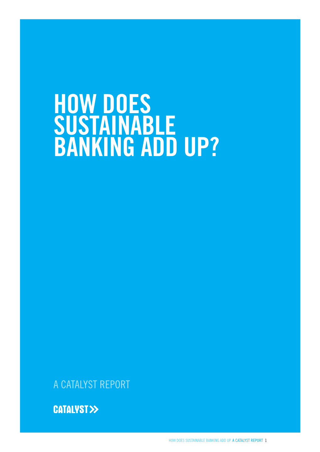 How Does Sustainable Banking Add Up?