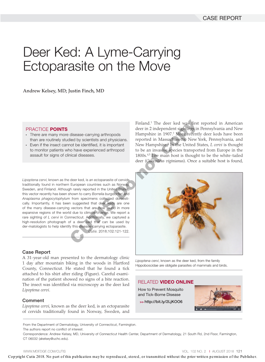 Deer Ked: a Lyme-Carrying Ectoparasite on the Move