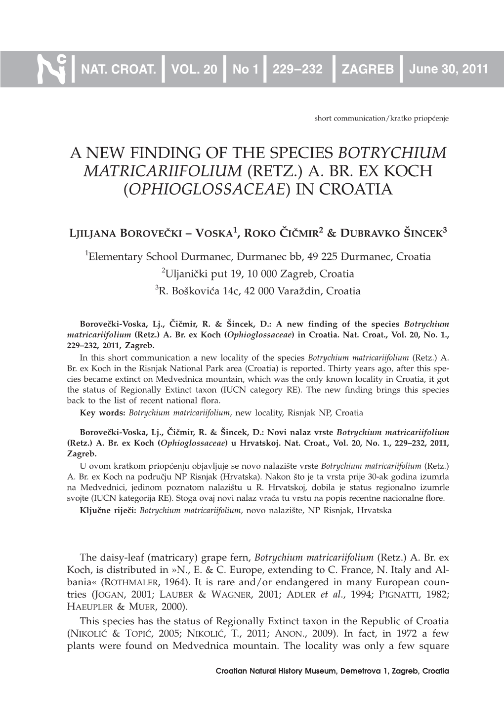 A New Finding of the Species Botrychium Matricariifolium (Retz.) A