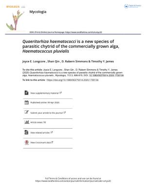 Quaeritorhiza Haematococci Is a New Species of Parasitic Chytrid of the Commercially Grown Alga, Haematococcus Pluvialis