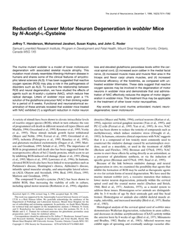 Reduction of Lower Motor Neuron Degeneration in Wobbler Mice by N-Acetyl-L-Cysteine