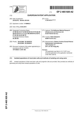 Isolated Populations of Renal Stem Cells and Methods of Isolating and Using Same