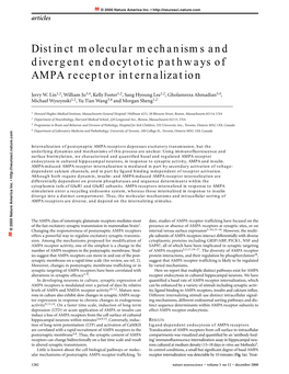 Distinct Molecular Mechanisms and Divergent Endocytotic Pathways of AMPA Receptor Internalization