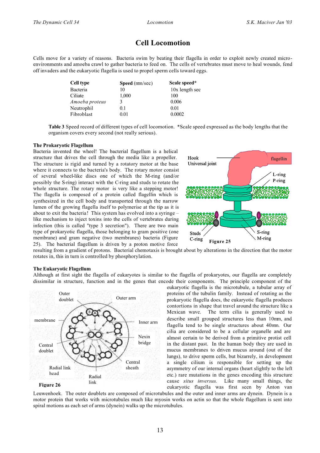 35 Cell Locomotion