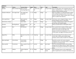 ANNUALS Genus Cultivar Common Name Height Bloom Color Light